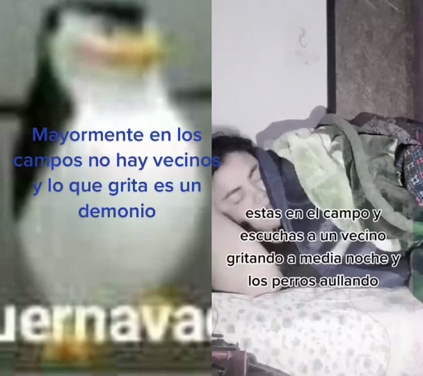 Post 5 by cuernavaca_te_lo_explica on TikTok (video)