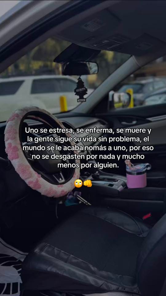 Post 8 by Yo Soy Lizibetth Reyes👑🦁 on TikTok (video)