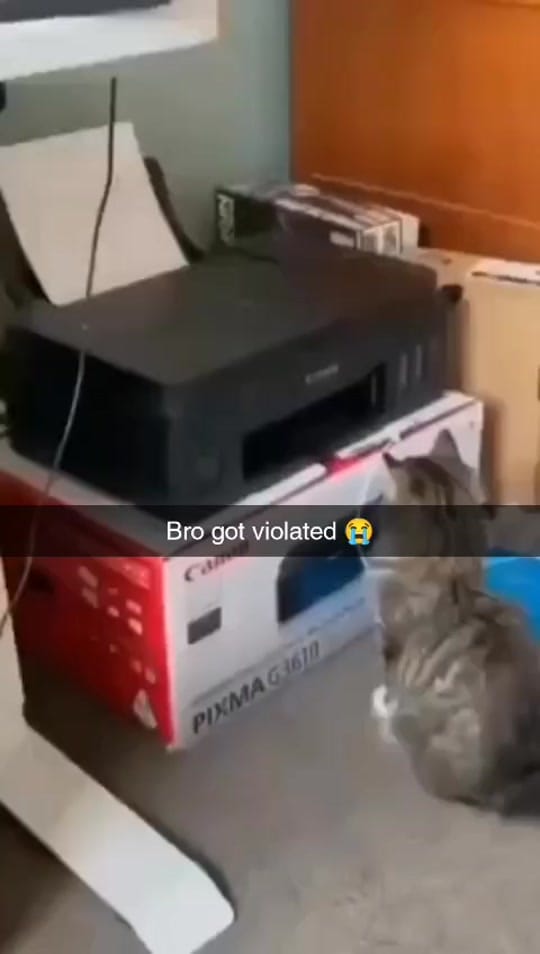 Post 10 by 21corleone on TikTok (video)