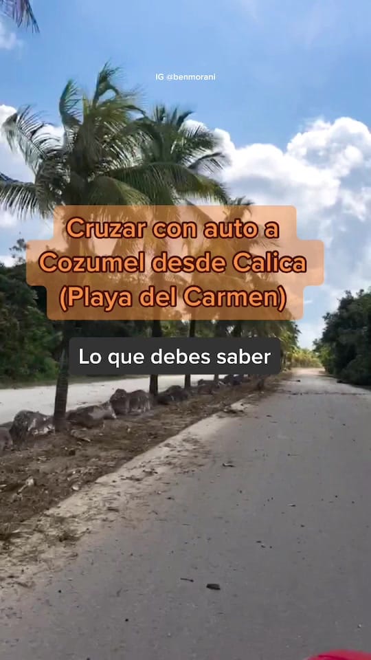 Post 3 by benmorani on TikTok (video)