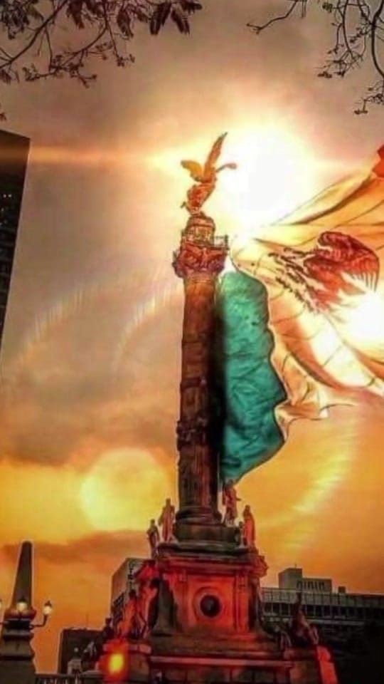 Post 9 by México 🇲🇽🌮 on TikTok (video)
