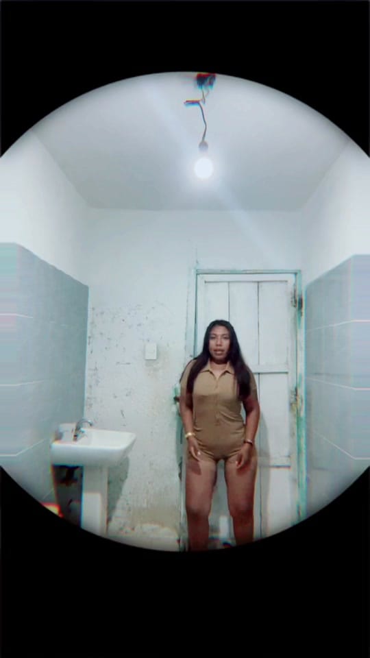 Post 5 by Michelle Hernandez on TikTok (video)