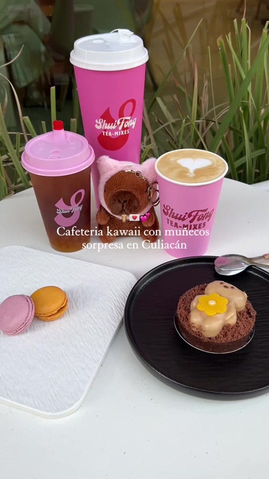 Post 9 by MINIPLACES on TikTok (video)