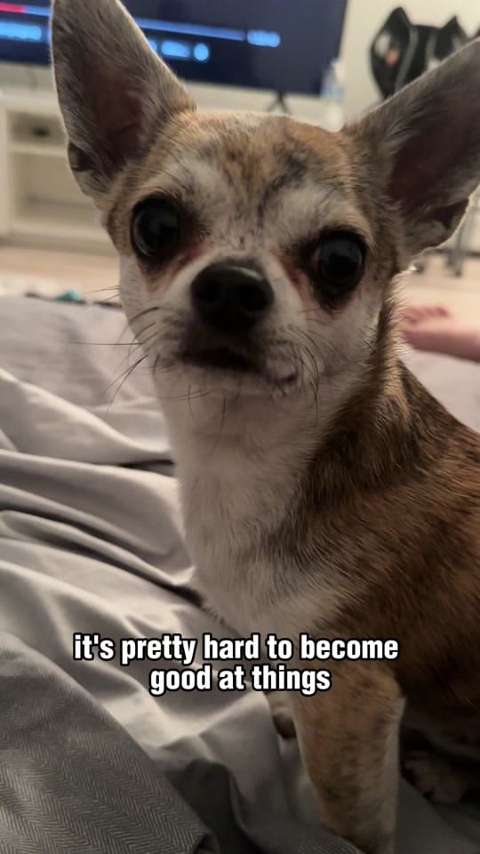 Post 1 by Cherokee Doggy on TikTok (video)