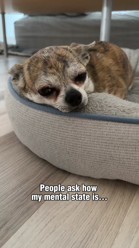 Post 2 by Cherokee Doggy on TikTok (video)