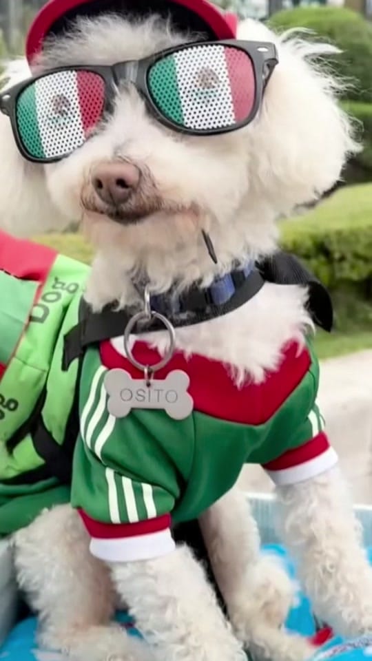 Post 7 by GlobaLAT on TikTok (video)