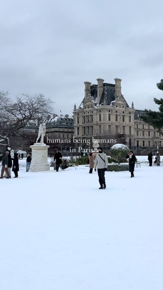 Post 2 by manondebourgogne on TikTok (video)