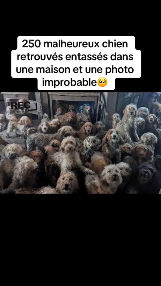 Post 7 by QUOI DE NEUF ⁉️ on TikTok (video)