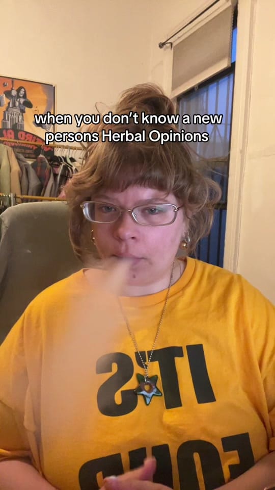 Post 3 by Annabel Meschke on TikTok (video)