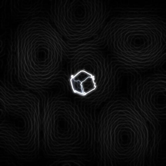 Post 8 by leon on TikTok (video)