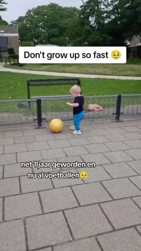 Post 1 by The Balloon Kids 🇳🇱 on TikTok (video)