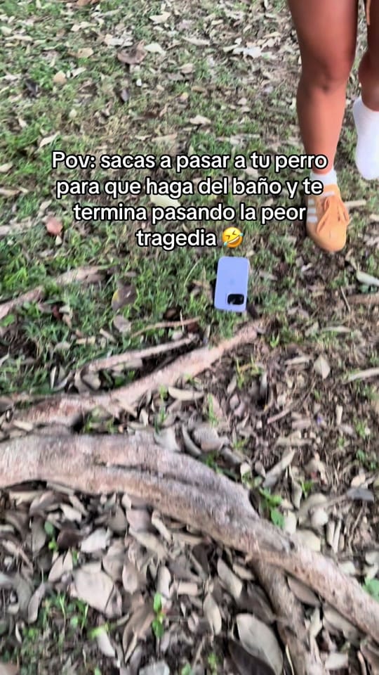 Post 5 by Danie Romero on TikTok (video)