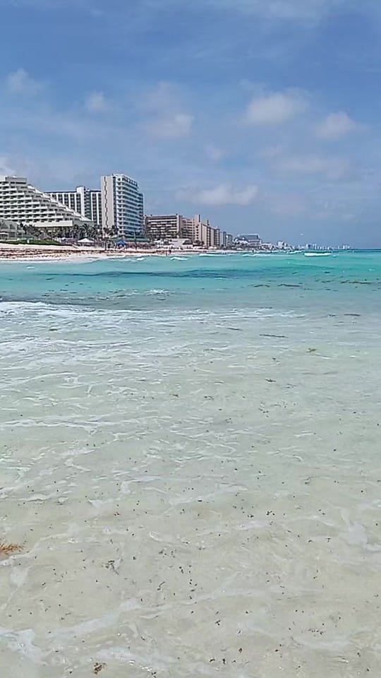 Post 5 by Cancún Live Tv on TikTok (video)
