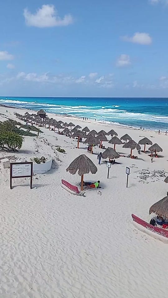 Post 8 by Cancún Live Tv on TikTok (video)