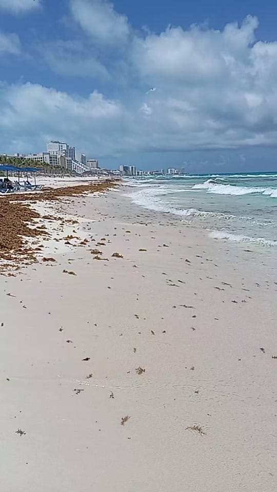 Post 1 by Cancún Live Tv on TikTok (video)
