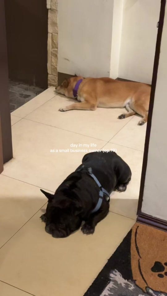 Post 1 by nicole💘 on TikTok (video)