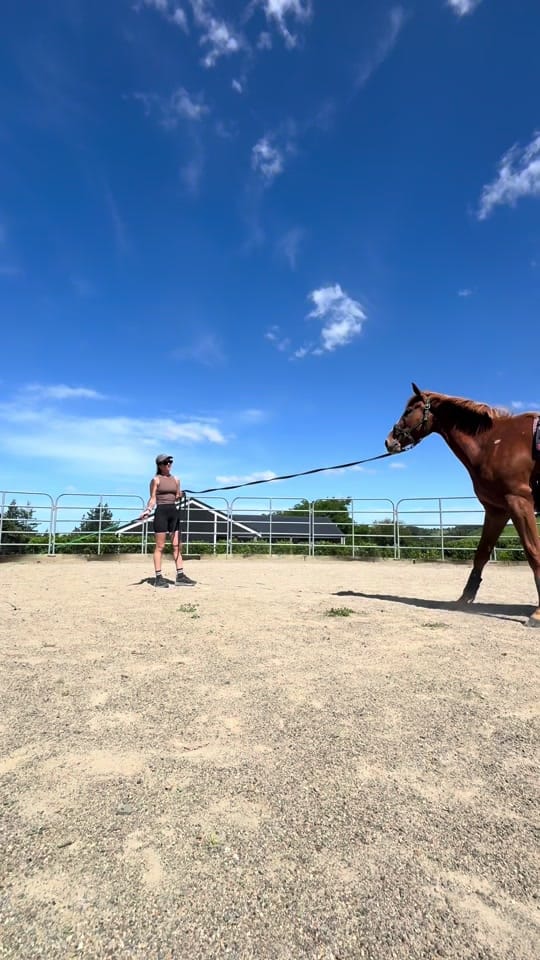 Post 10 by Paris on TikTok (video)