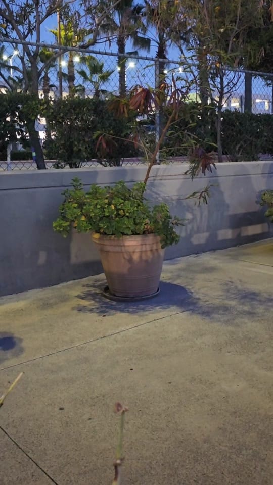 Post 5 by Dareth on TikTok (video)