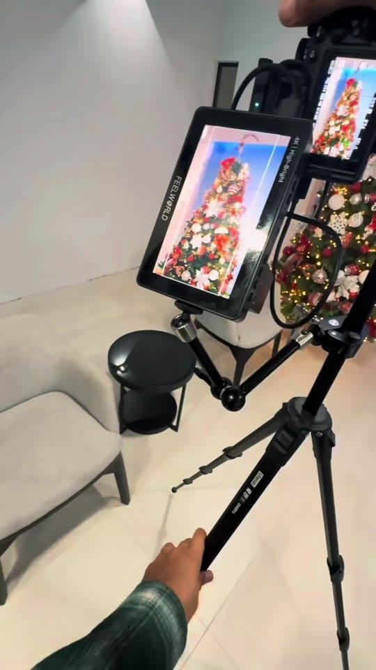 Post 6 by alexisgonze on TikTok (video)