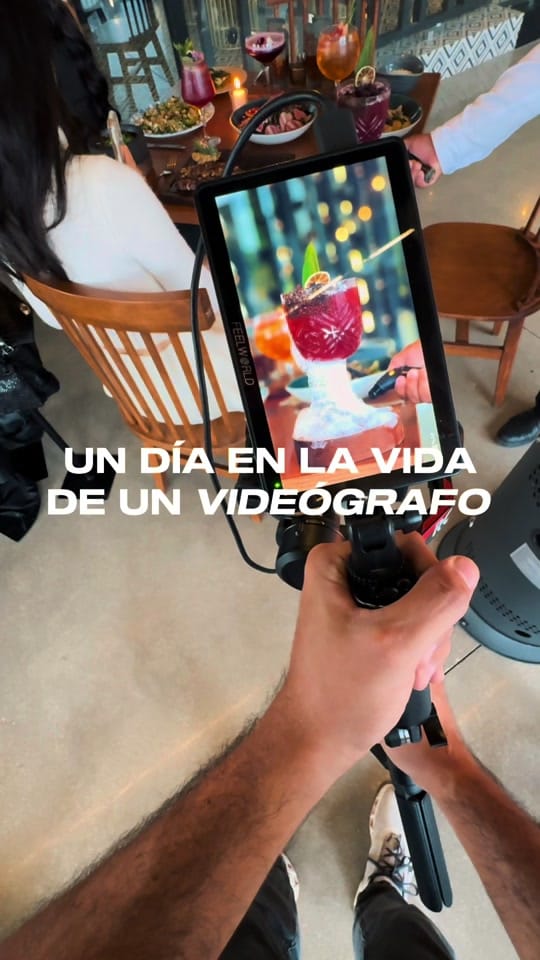 Post 4 by alexisgonze on TikTok (video)