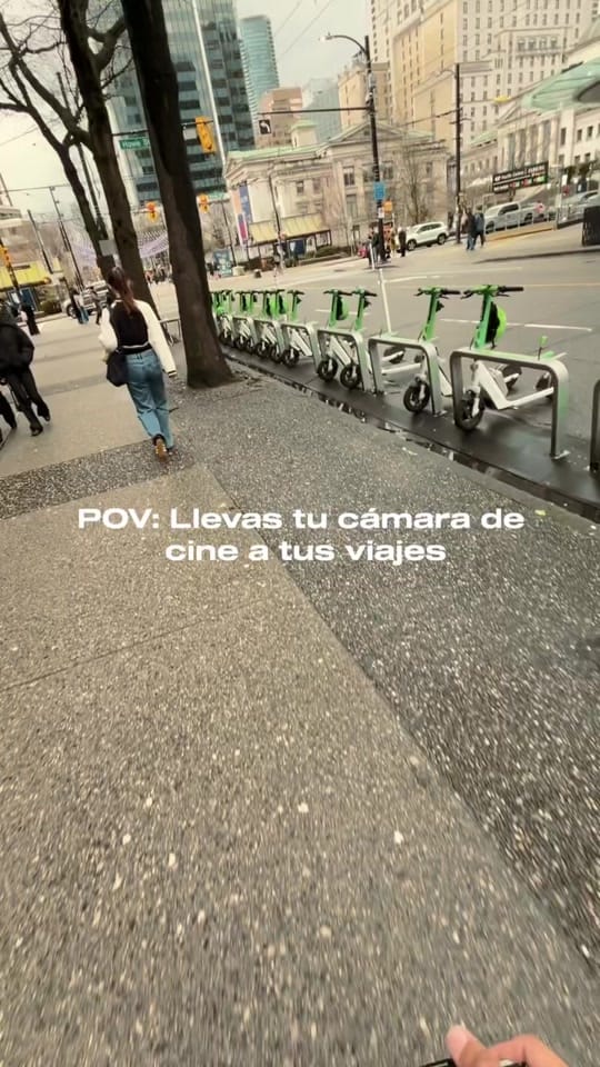 Post 2 by alexisgonze on TikTok (video)