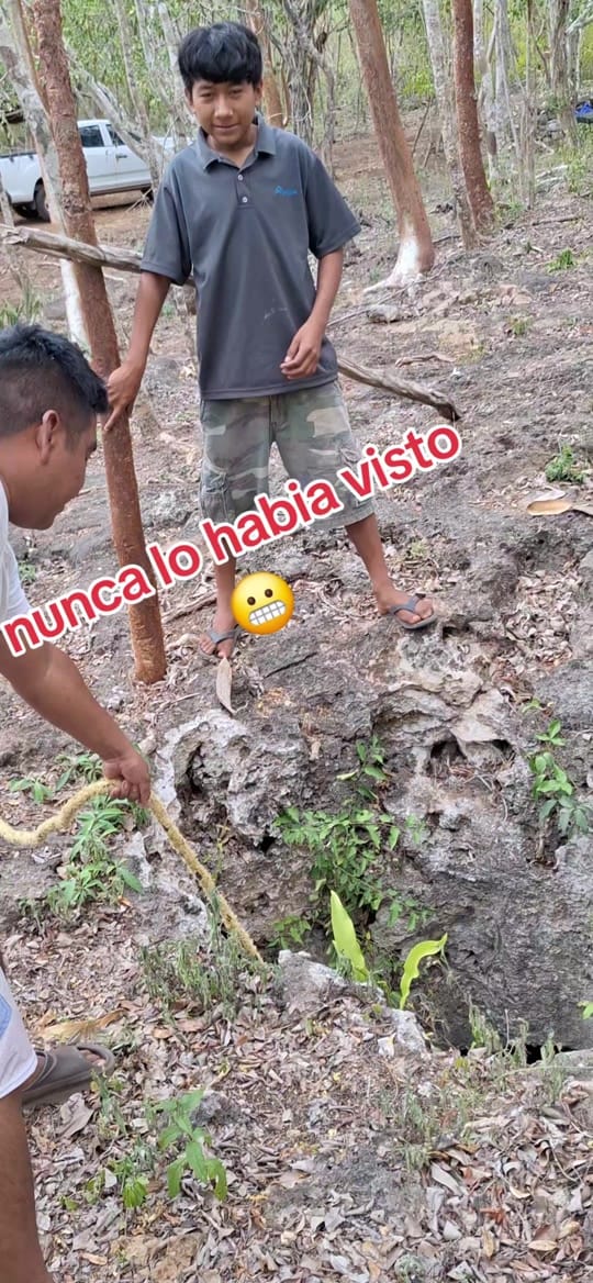 Post 8 by DORITO'S COLLI VIDEOS on TikTok (video)