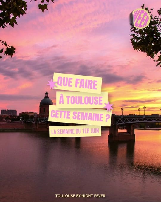Post 5 by TOULOUSE BY NIGHT FEVER on TikTok (video)