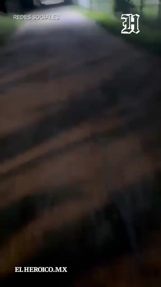 Post 8 by ElHeroicoDiario on TikTok (video)