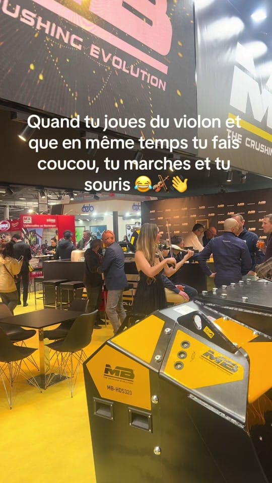 Post 6 by Marie-Alix 🎻✨ on TikTok (video)