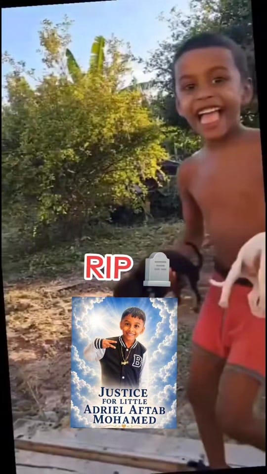 Post 9 by Caribbean vibes 🇬🇾🧐🫵 on TikTok (video)