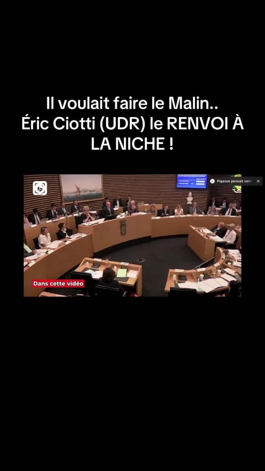Post 4 by France2.0 on TikTok (video)