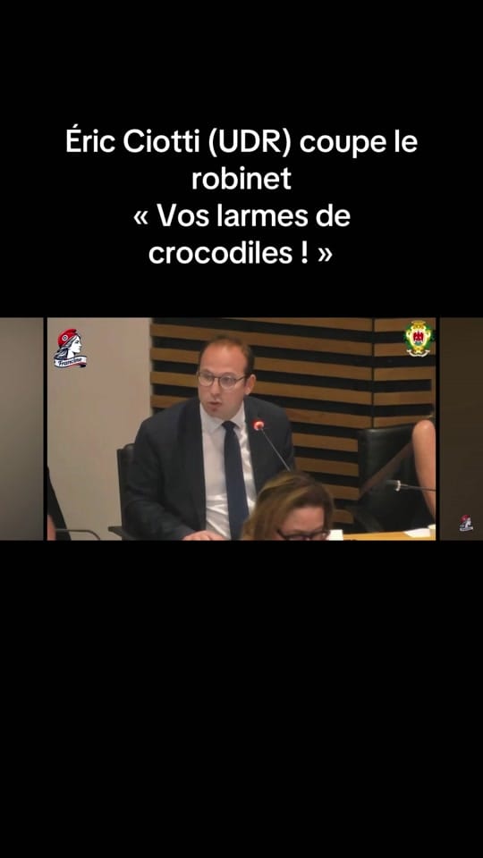 Post 7 by France2.0 on TikTok (video)