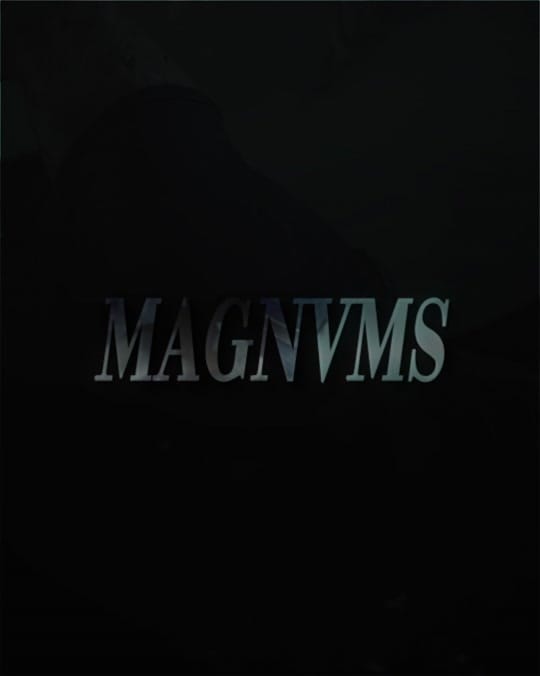 Post 8 by magnvms on TikTok (video)