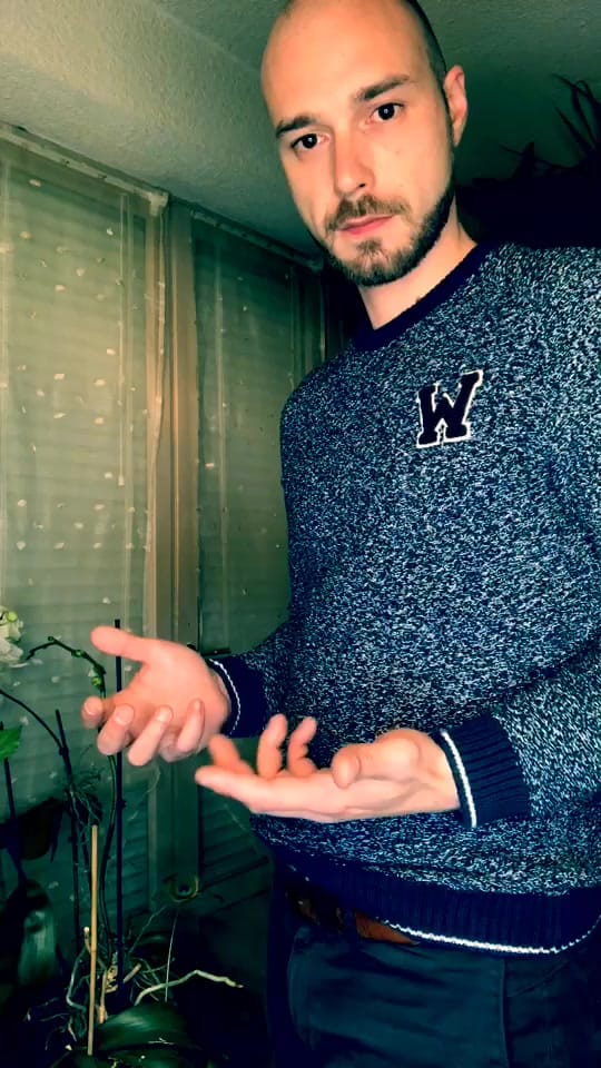 Post 3 by Zogno 🤩 on TikTok (video)