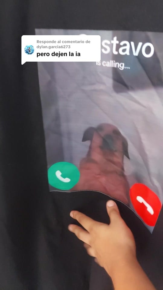 Post 3 by Alchilememex shop on TikTok (video)