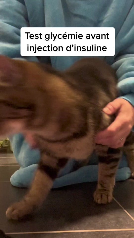 Post 9 by mh.stephanie on TikTok (video)