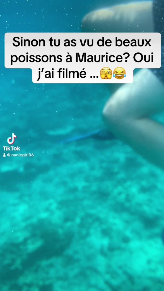 Post 2 by mh.stephanie on TikTok (video)