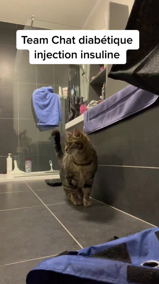 Post 10 by mh.stephanie on TikTok (video)