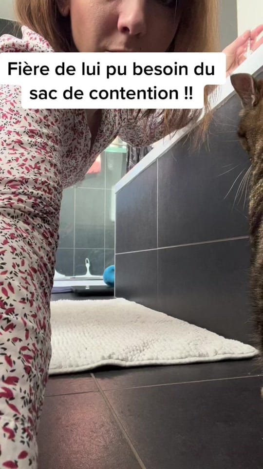 Post 8 by mh.stephanie on TikTok (video)