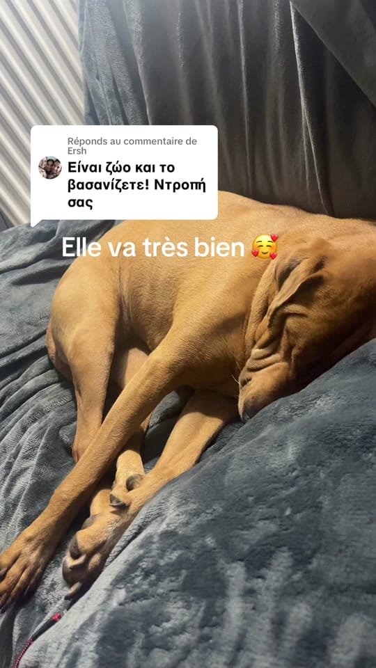 Post 1 by mh.stephanie on TikTok (video)