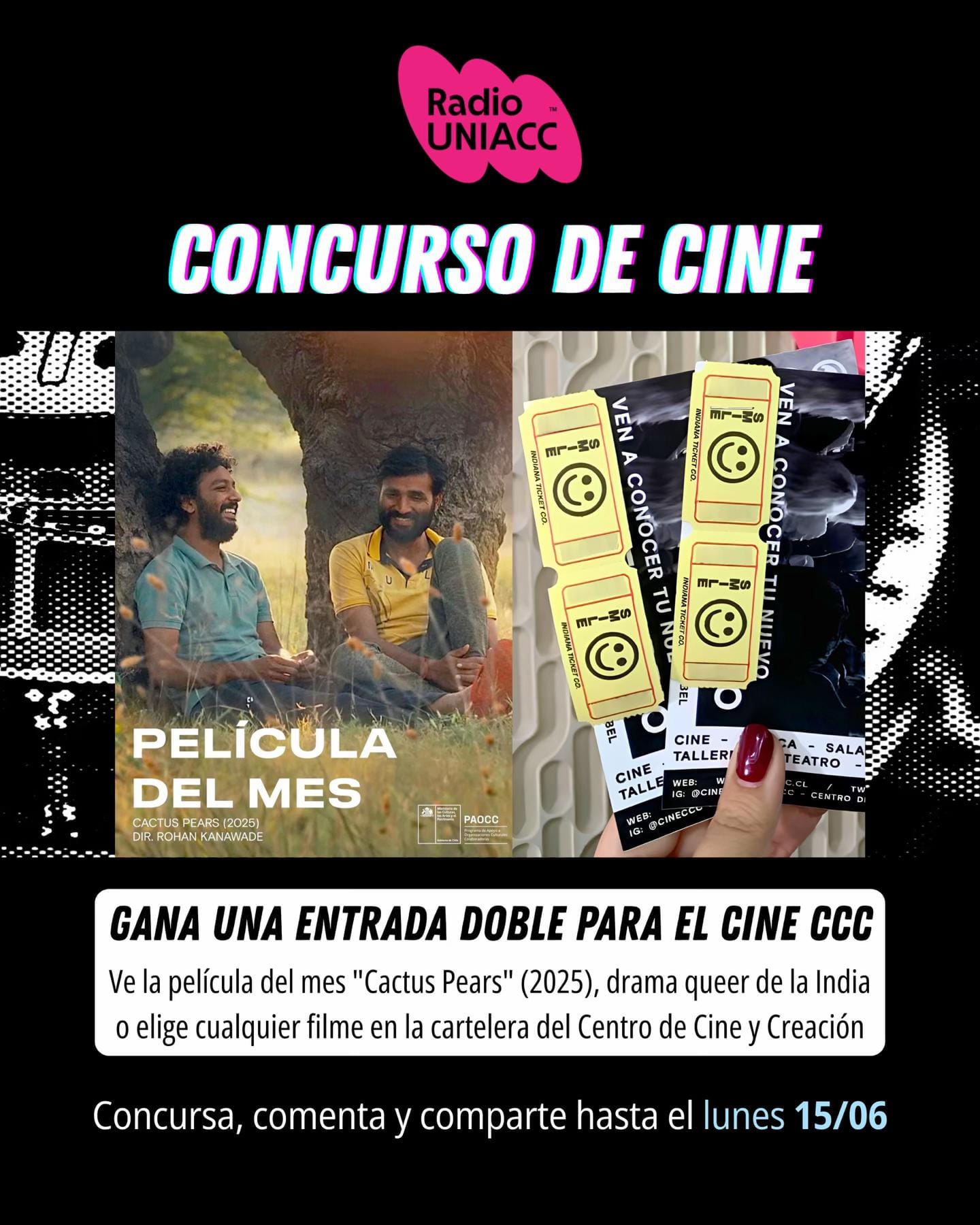 Post 7 by Leonardo Cabezas Providell on TikTok (video)