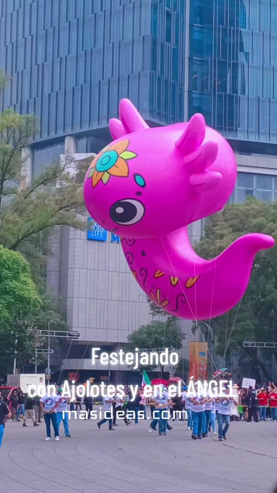 Post 7 by Diario Judío México on TikTok (video)