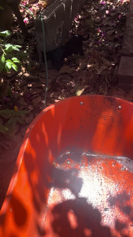 Post 7 by Luk@s🤪👽 on TikTok (video)