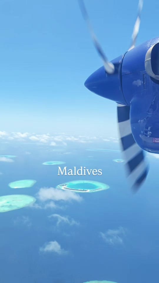 Post 1 by Genius Traveler on TikTok (video)