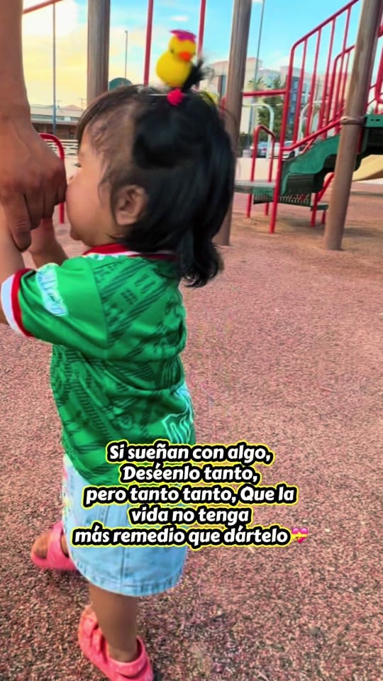 Post 6 by Estefanía 🌷✨ on TikTok (video)