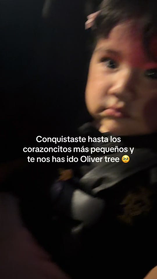 Post 5 by Estefanía 🌷✨ on TikTok (video)