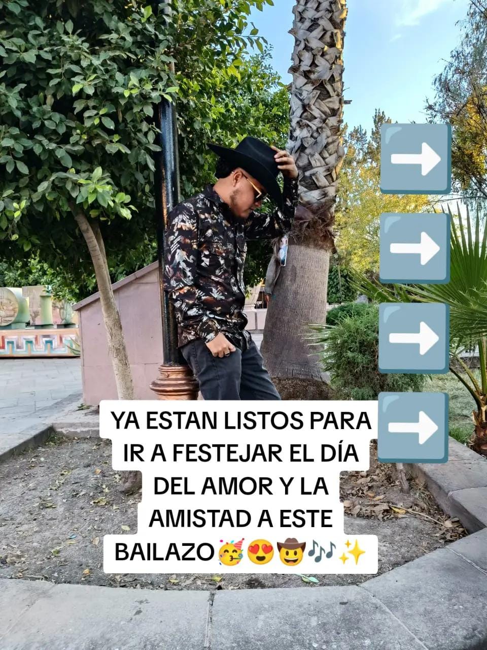 Post 9 by Bailes_SLP on TikTok (video)