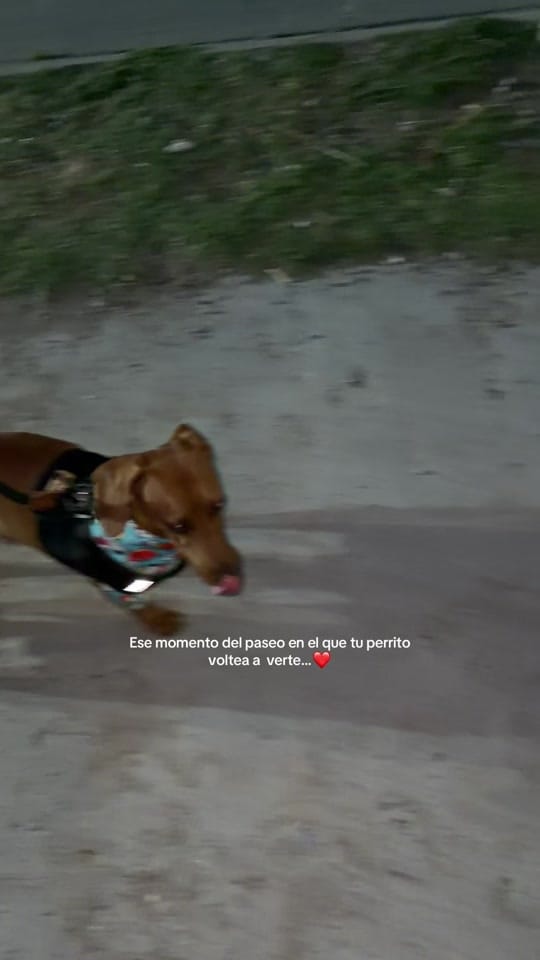 Post 6 by Meli Garcia on TikTok (video)