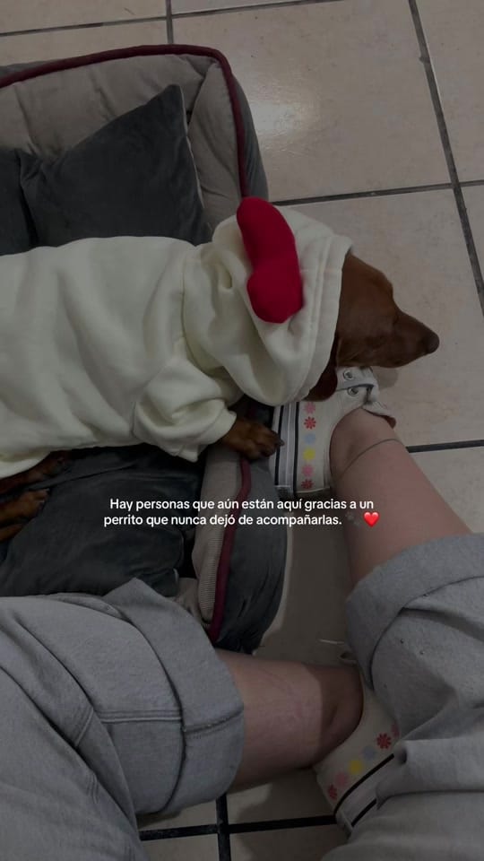 Post 4 by Meli Garcia on TikTok (video)