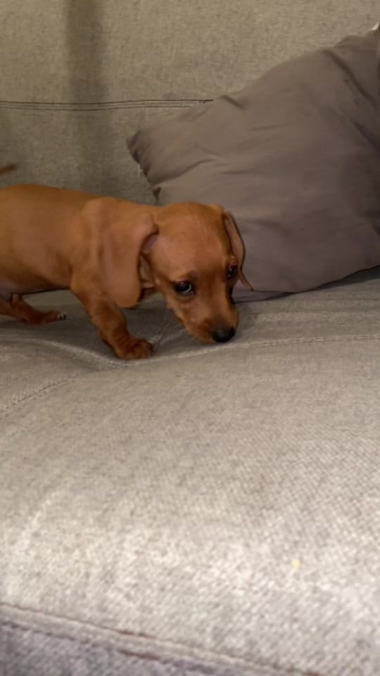 Post 8 by Meli Garcia on TikTok (video)